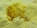 IMG_0069 * 750 x 563 * (46KB)